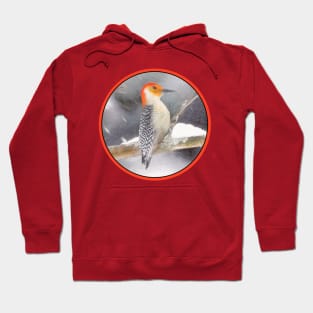 Red-Bellied Woodpecker Hoodie